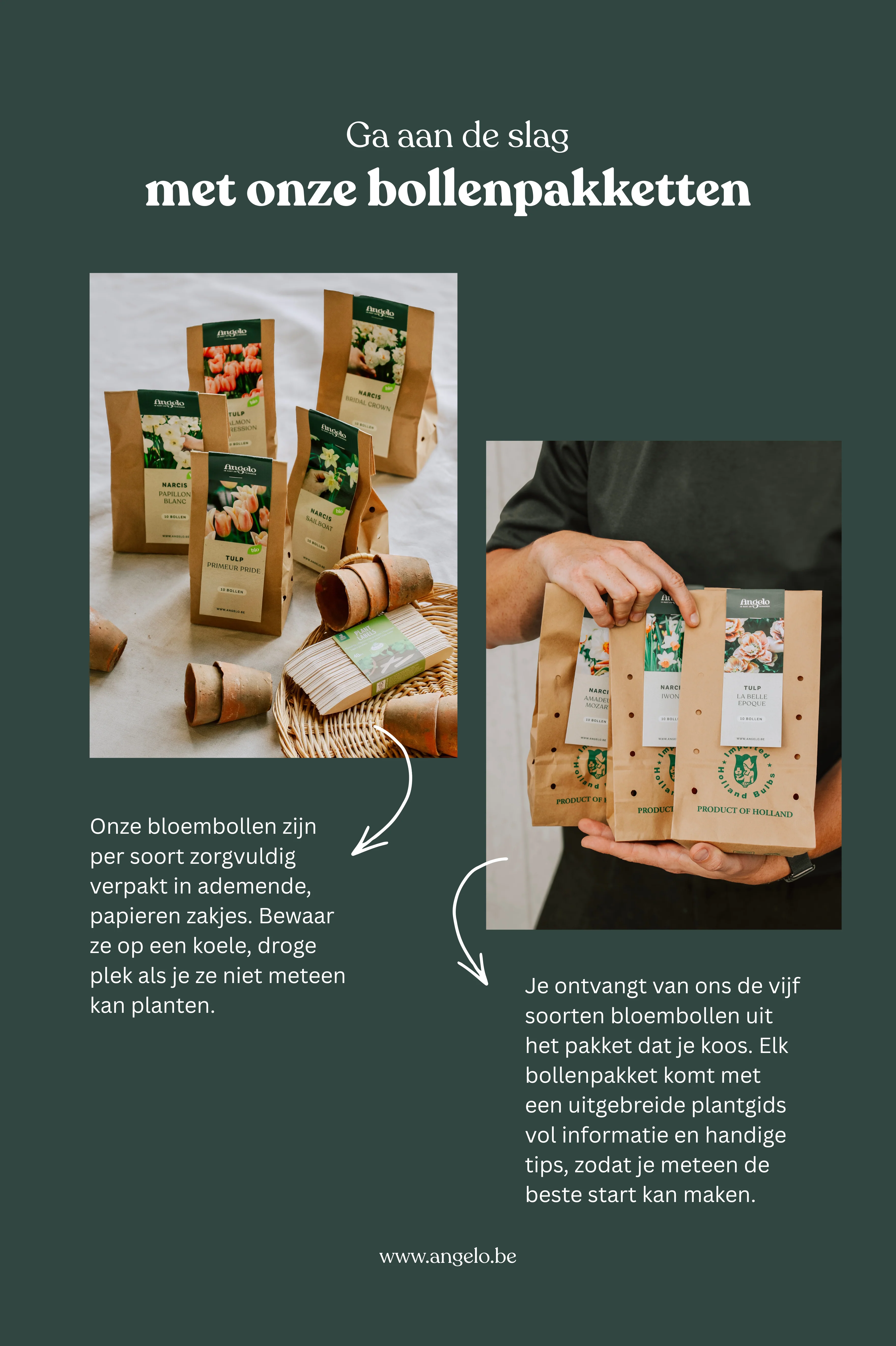 Bloembollenpakket: Vintage - Image 2