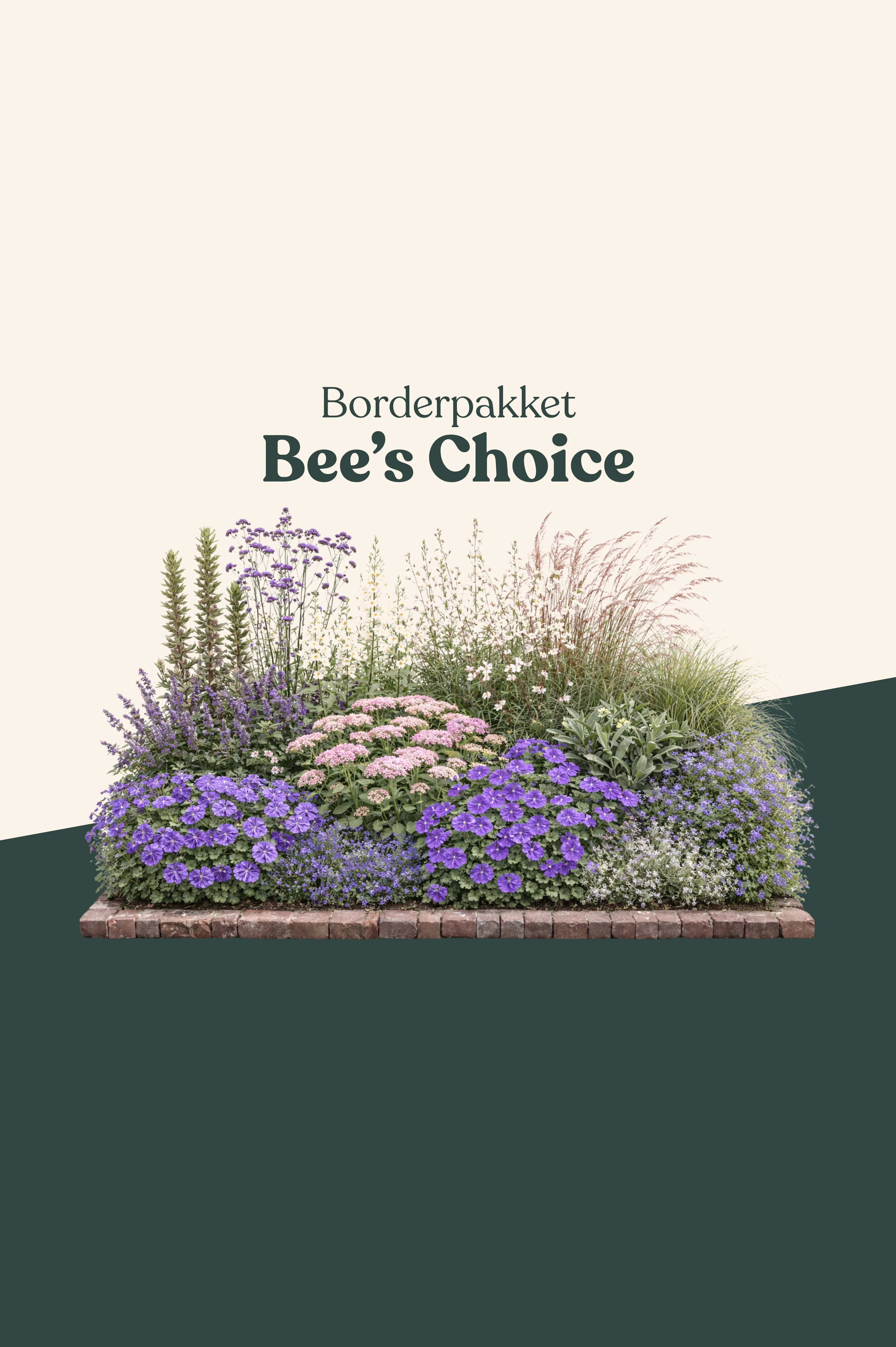 Borderpakket: Bee's Choice