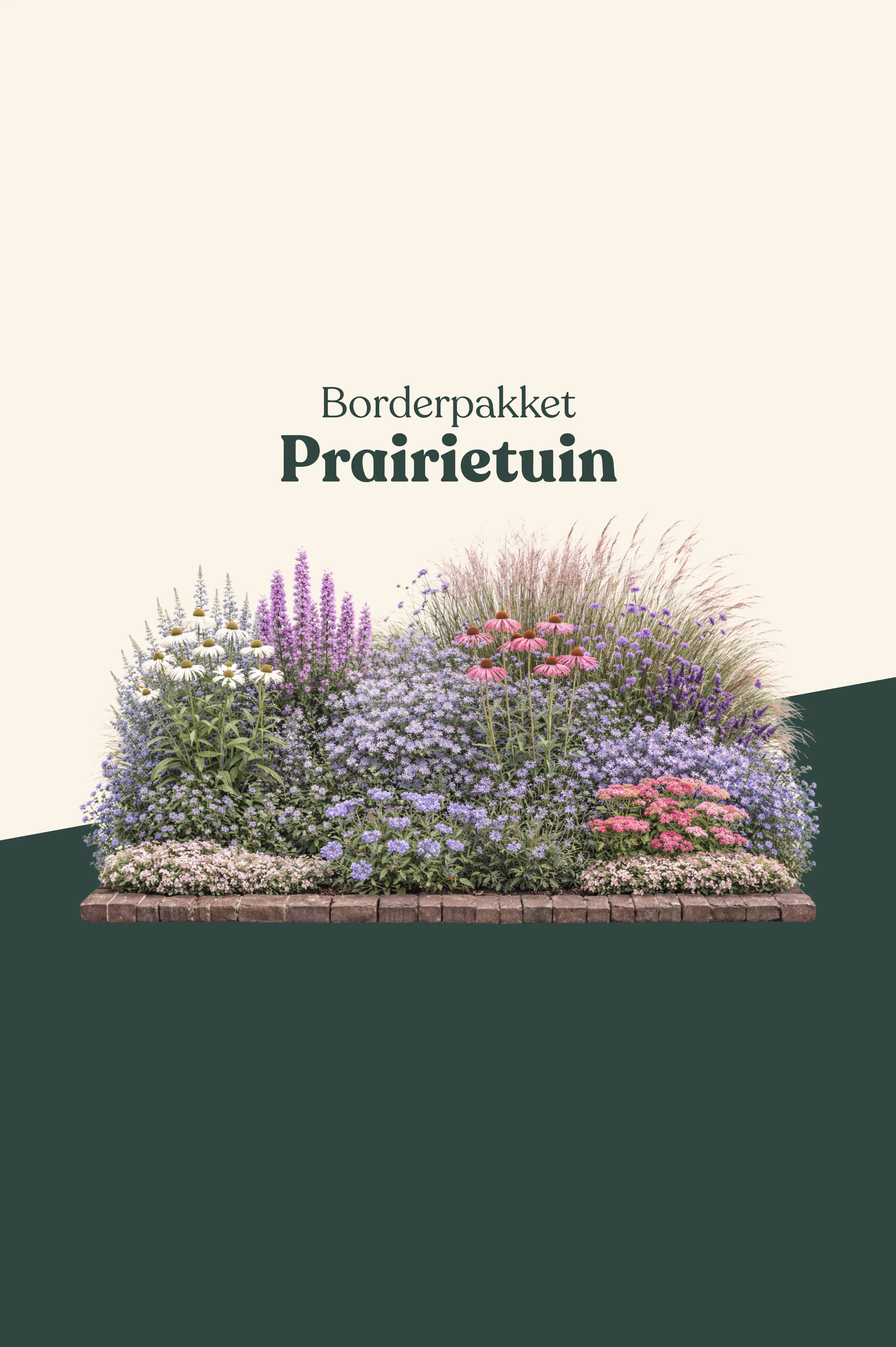 Borderpakket: Prairietuin