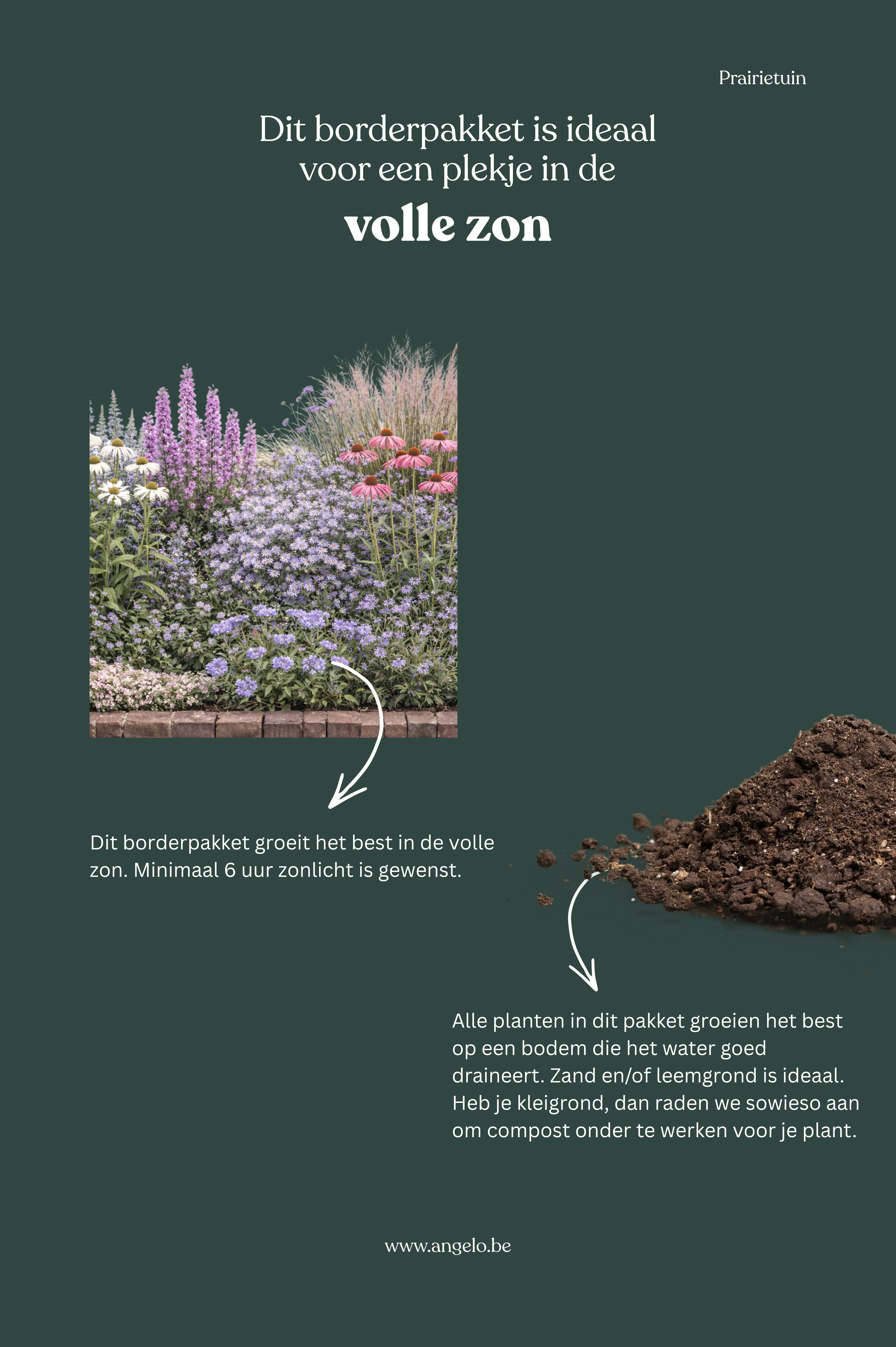 Borderpakket: Prairietuin - Image 2