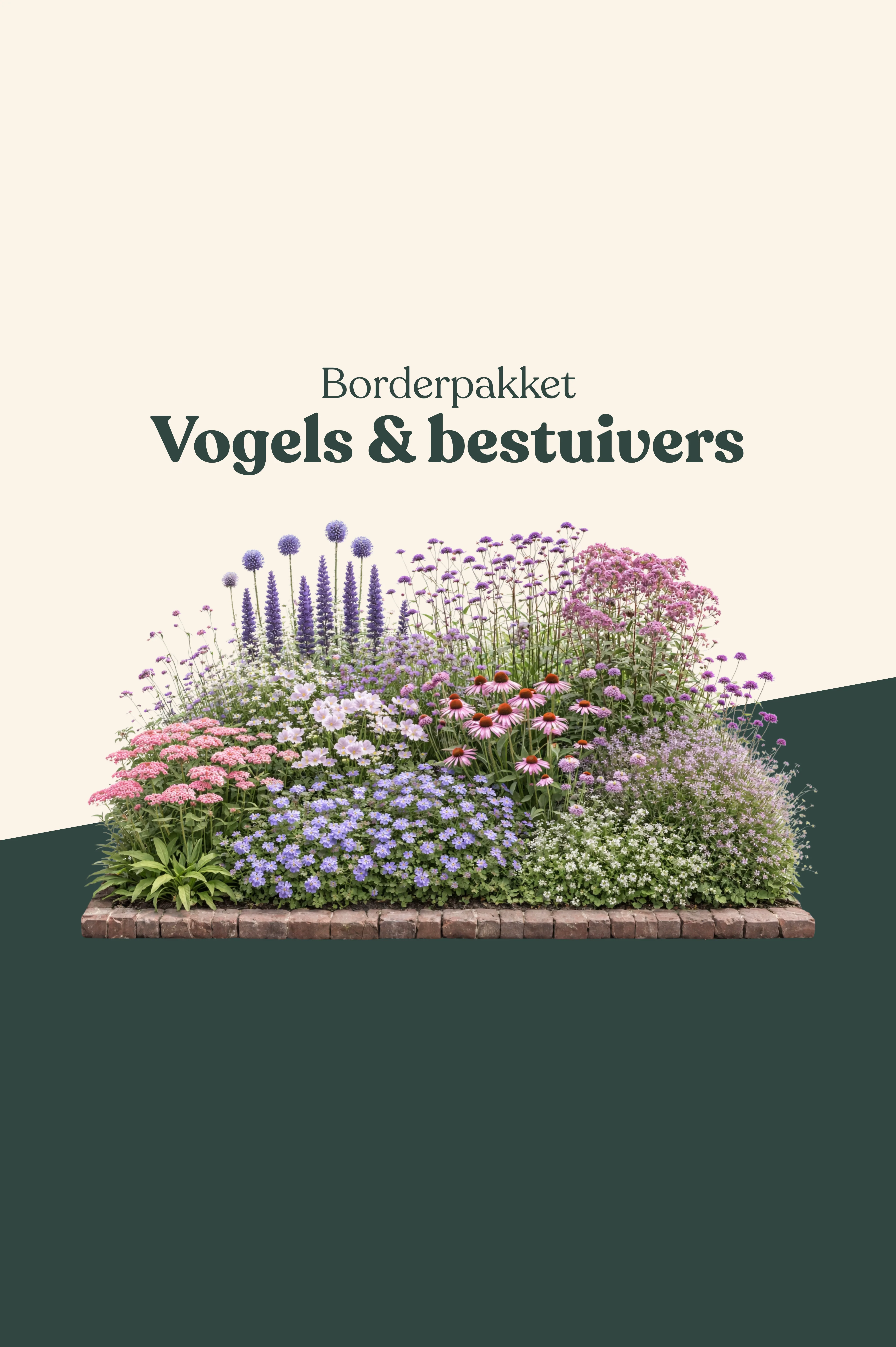 Borderpakket: vogels & bestuivers