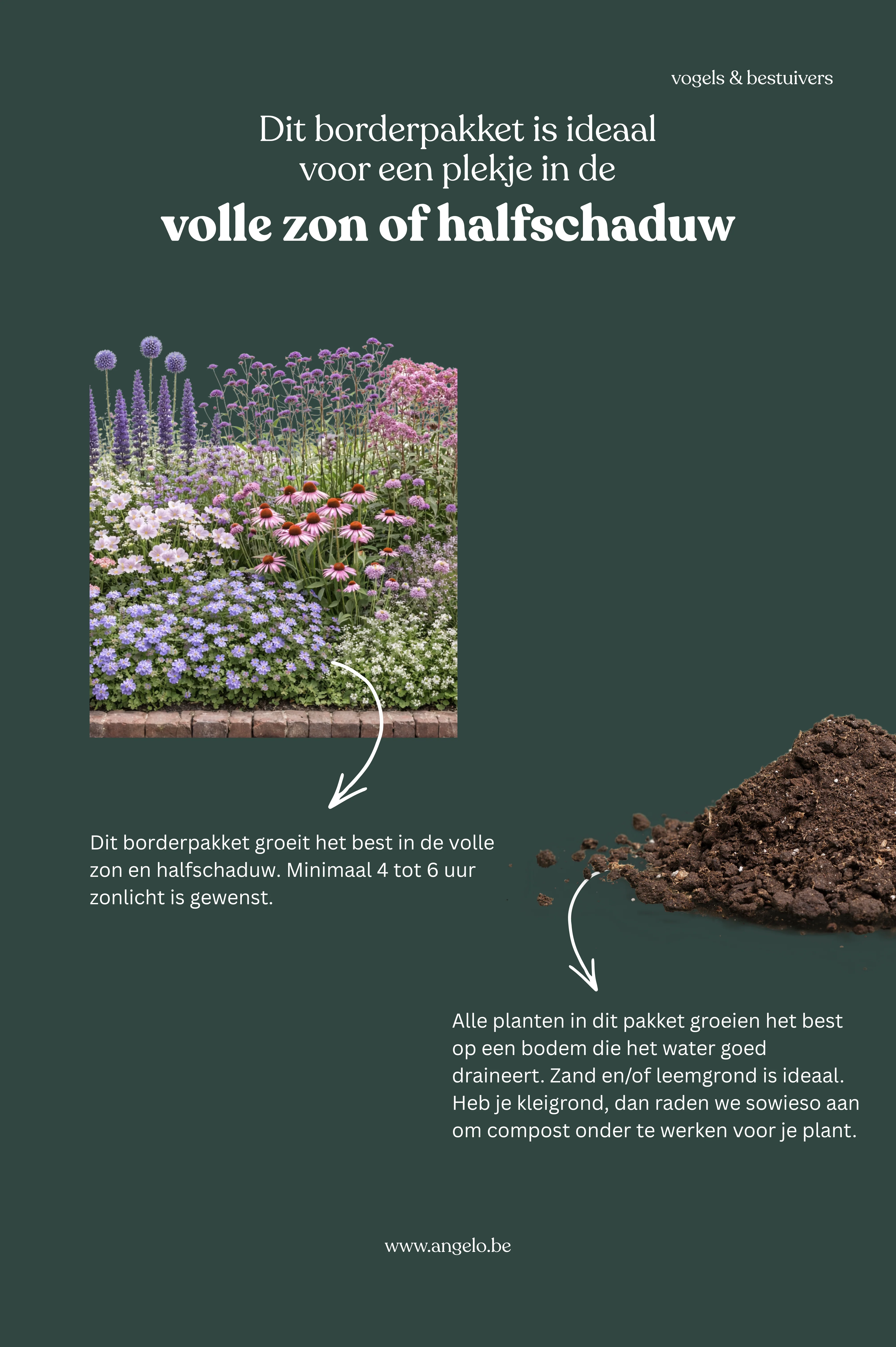 Borderpakket: vogels & bestuivers - Image 2