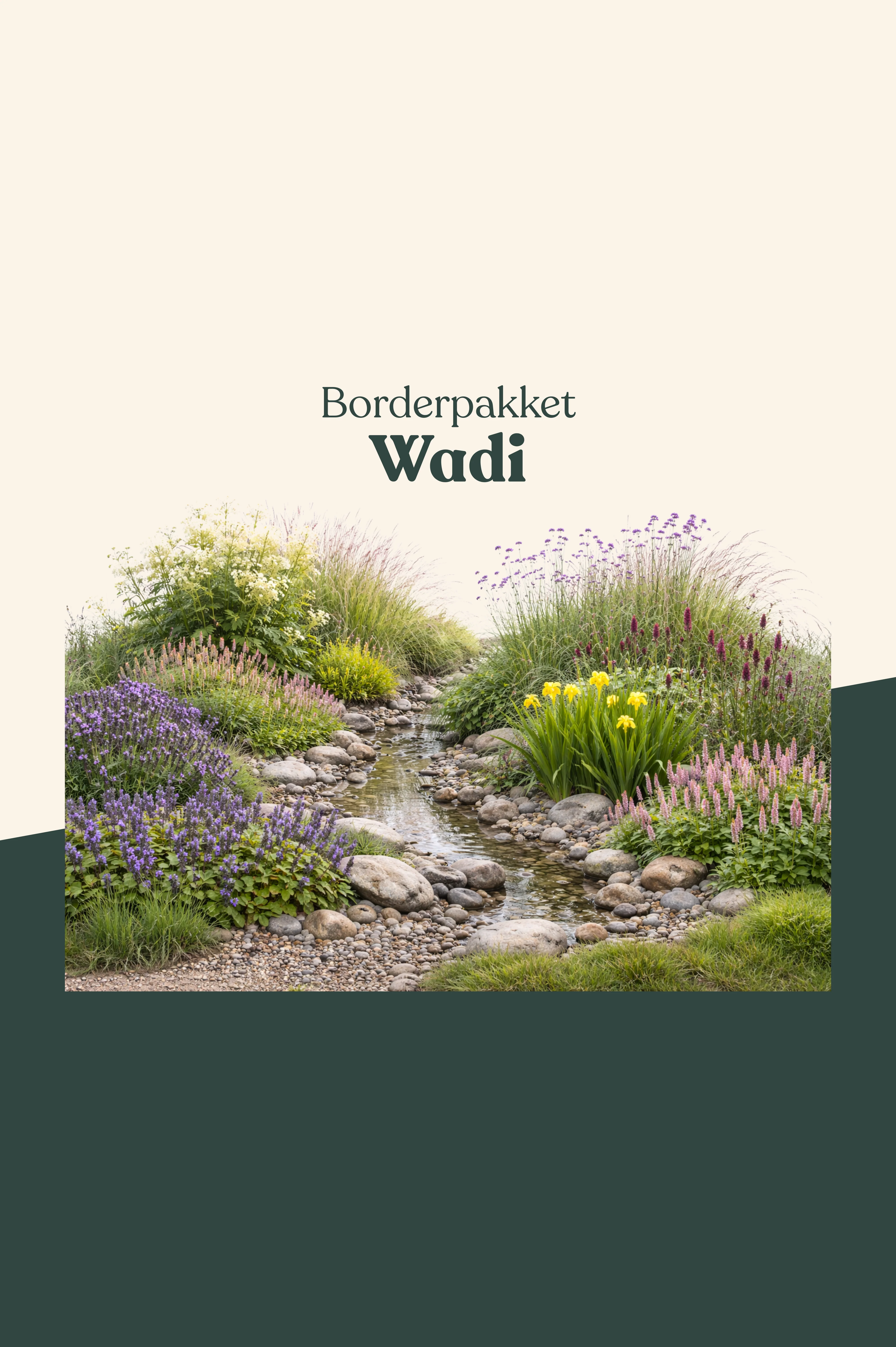 Borderpakket: Wadi