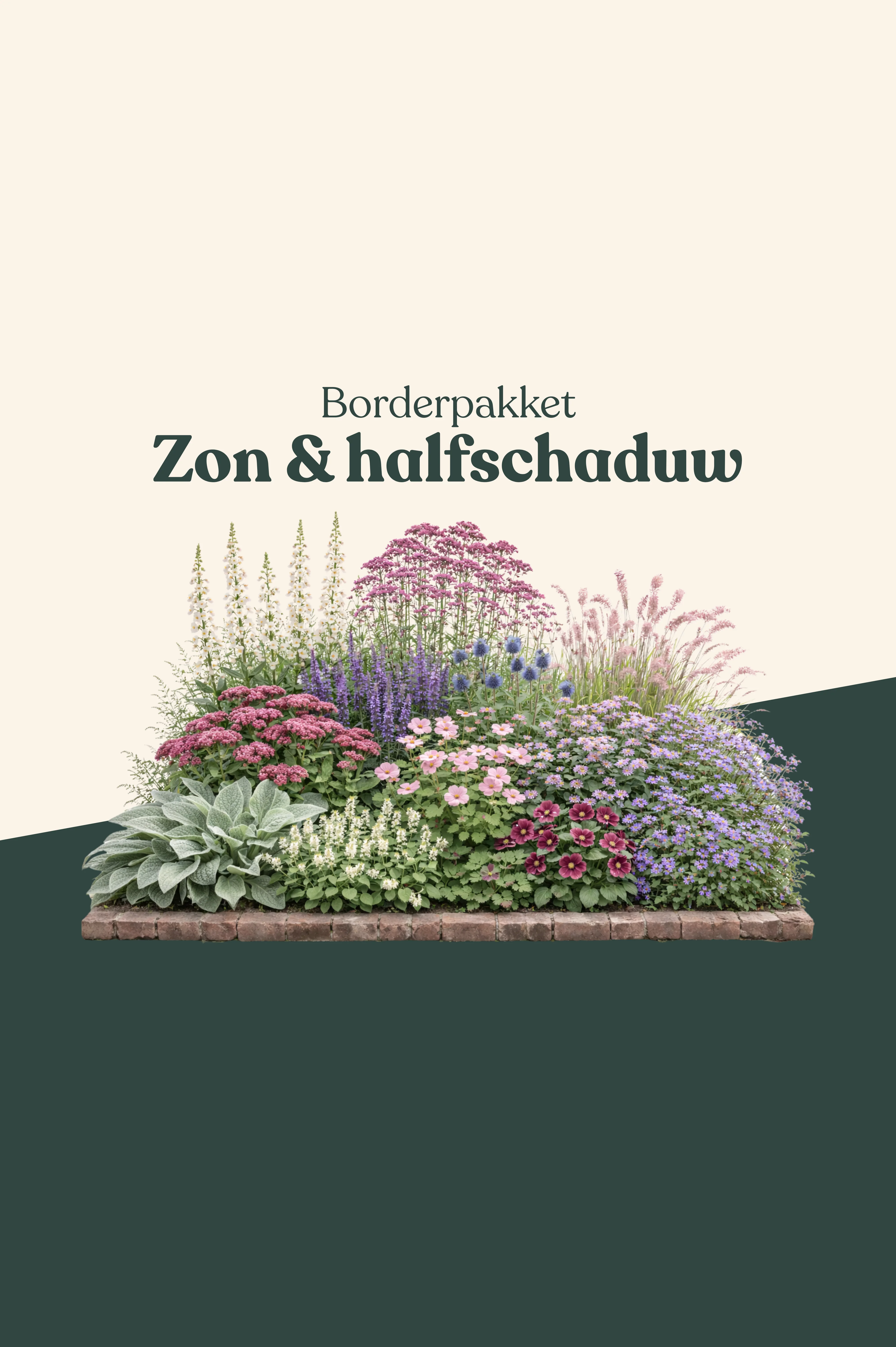 Borderpakket: zon & halfschaduw