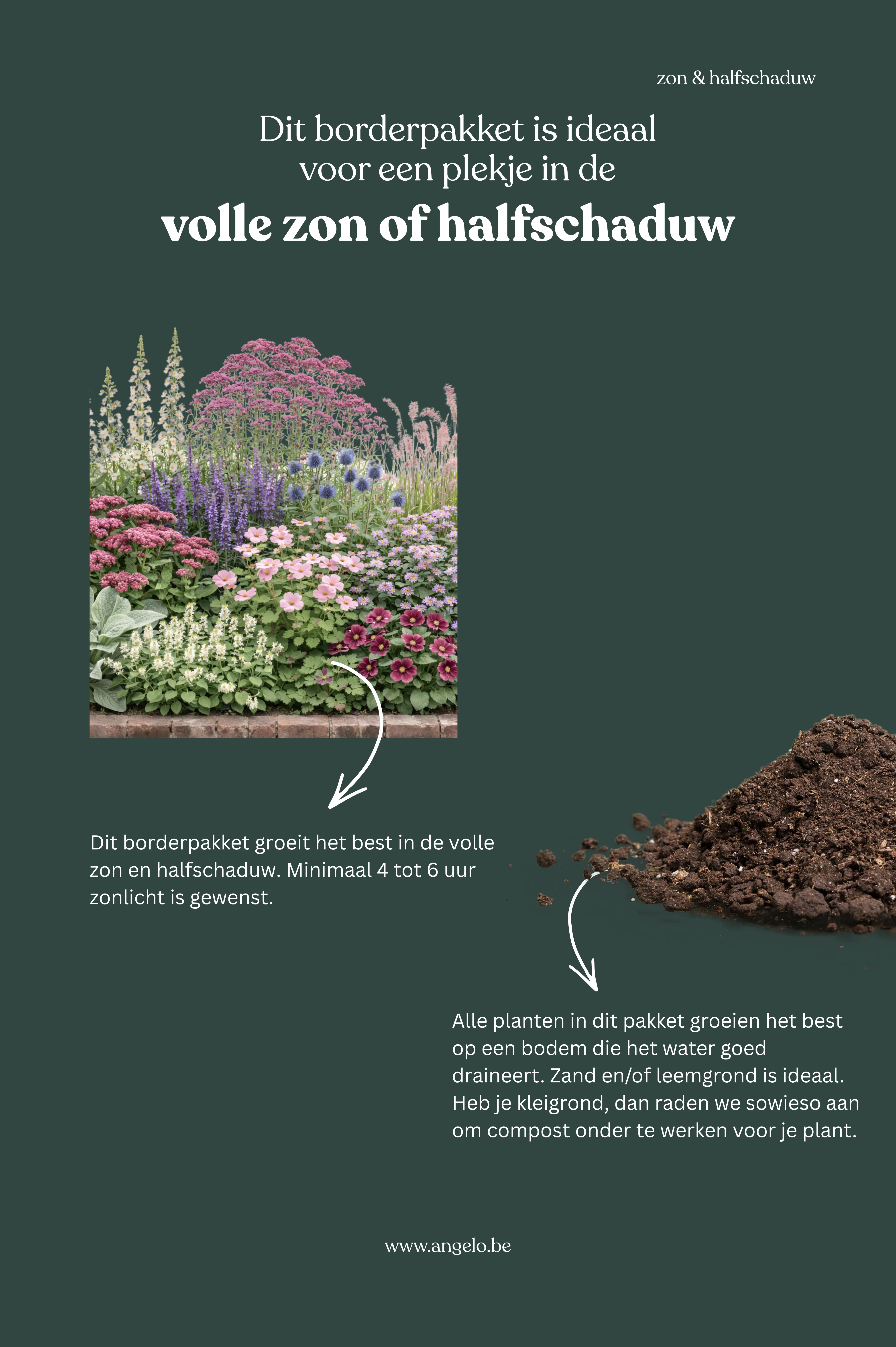 Borderpakket: zon & halfschaduw - Image 2