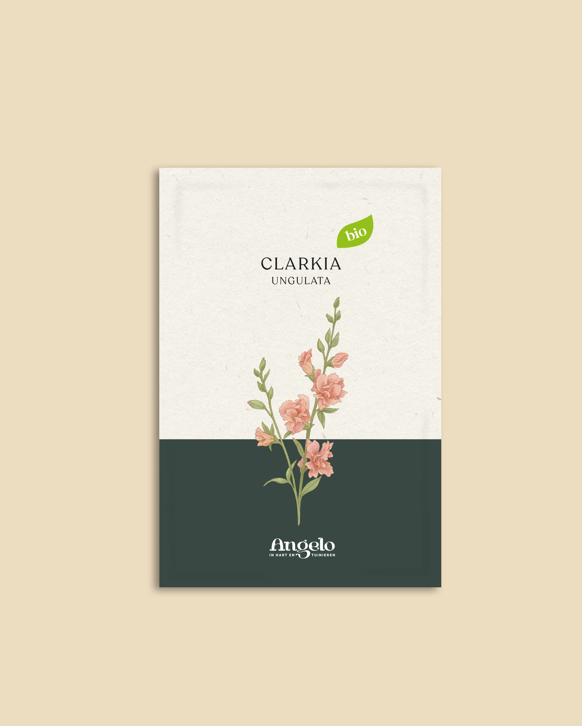 Clarkia unguiculata - Image 2
