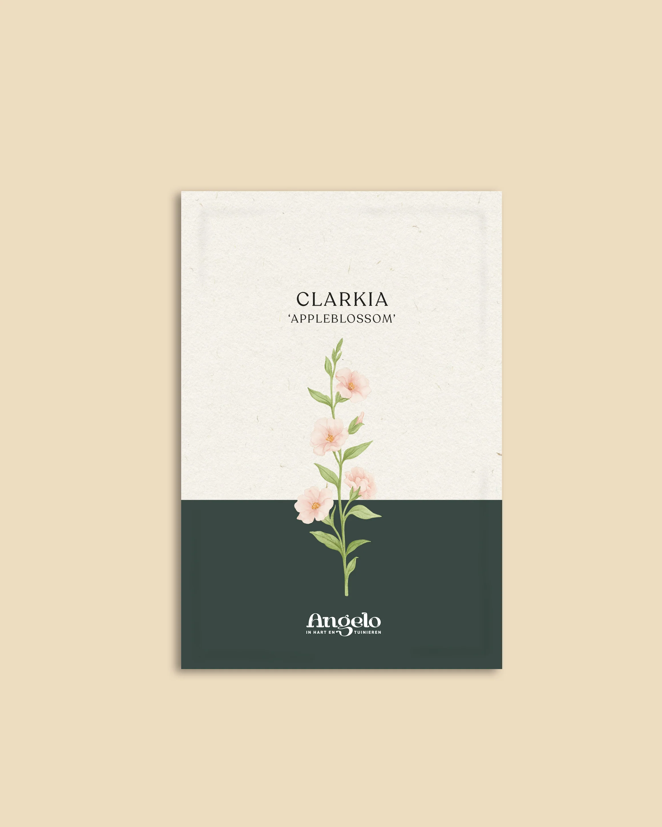 Clarkia unguiculata 'Appleblossom' - Image 2