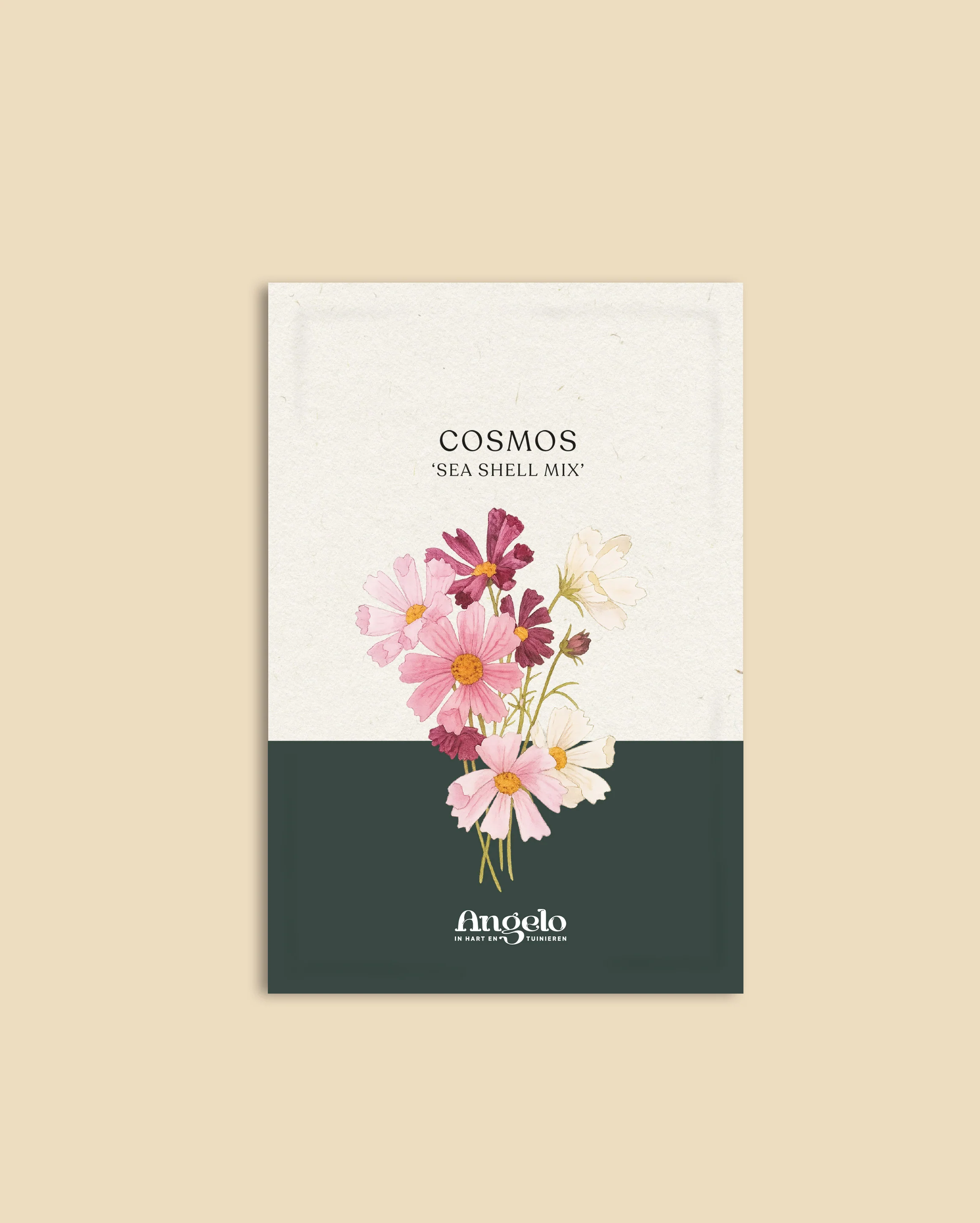 Cosmos bipinnatus 'Sea Shells Mix' - Image 2