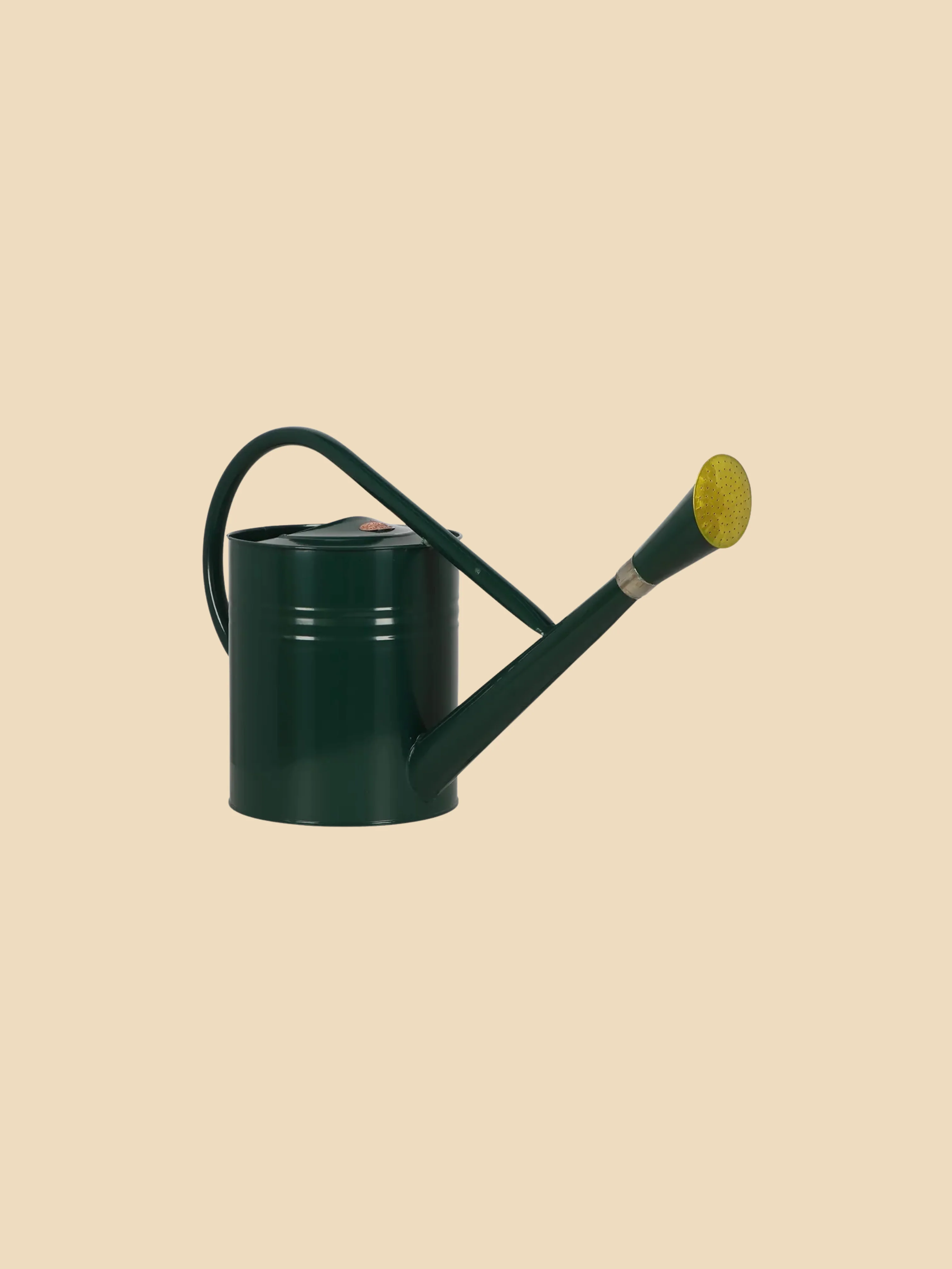 Groene zinken gieter - groot