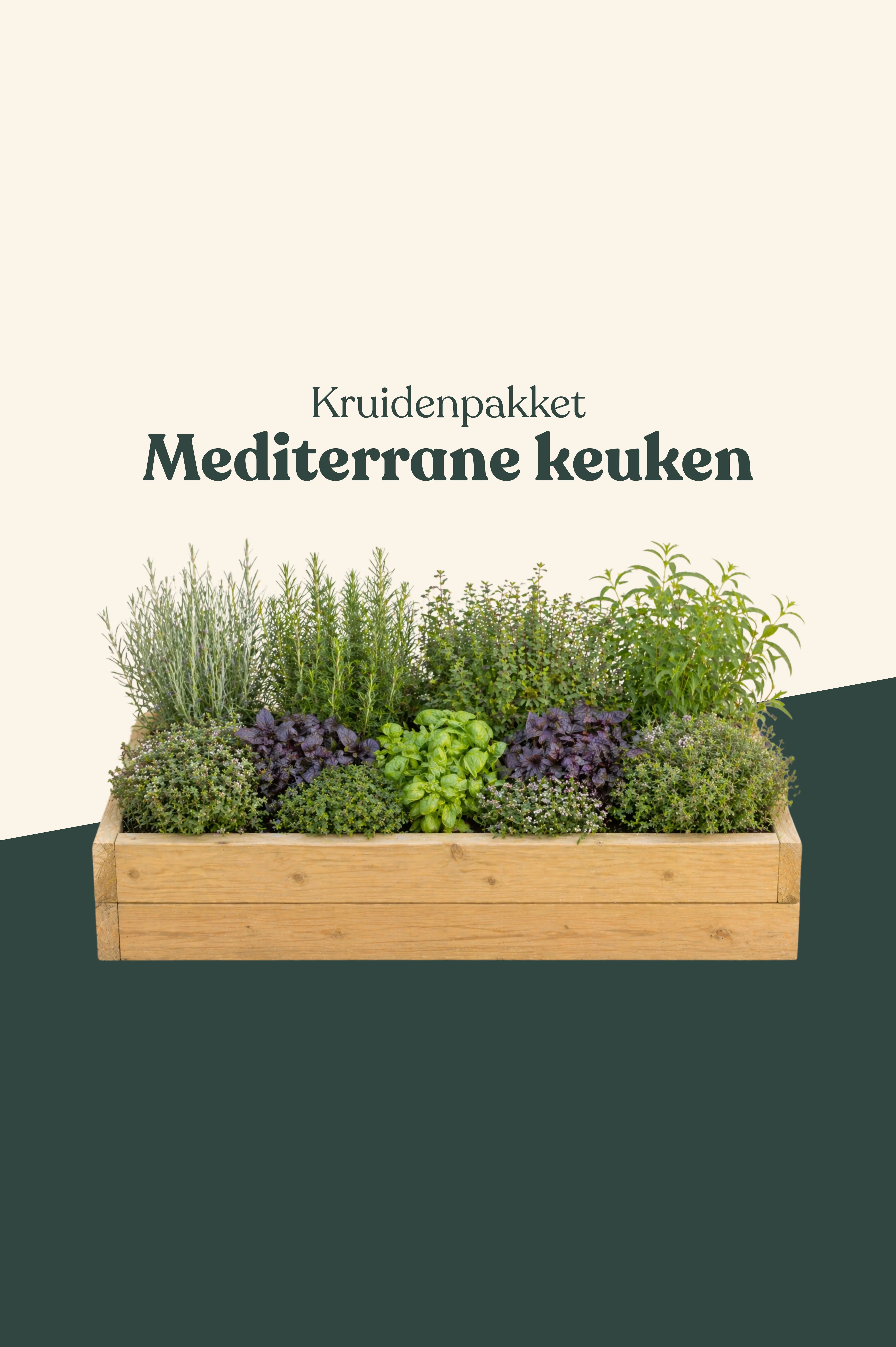 Kruidenpakket: Mediterrane keuken