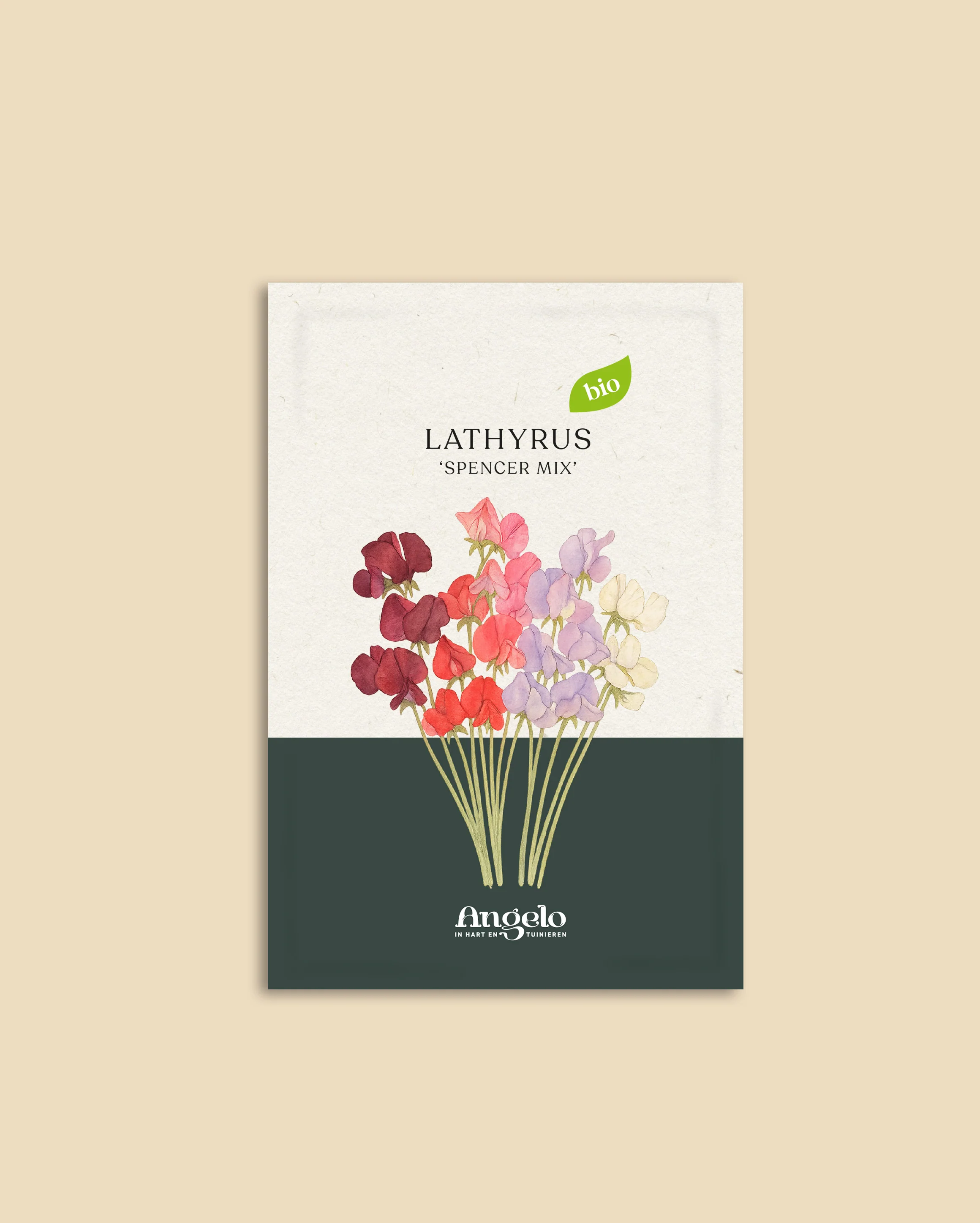 Lathyrus odoratus 'Spencer Mix' - Image 2