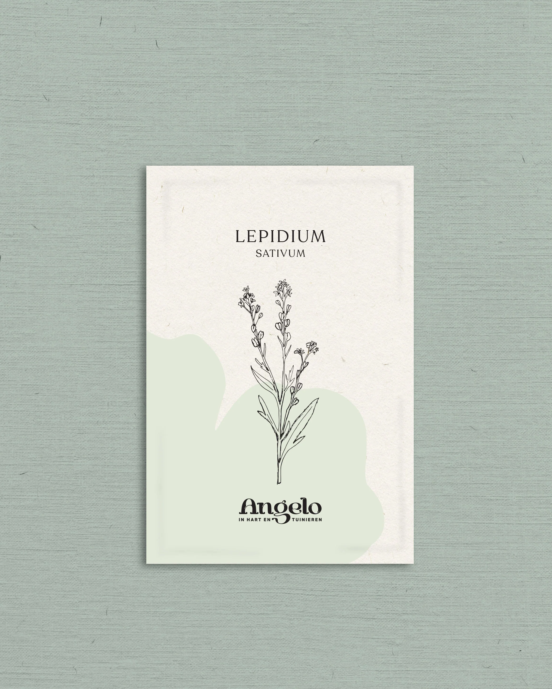 Lepidium sativum - Image 2
