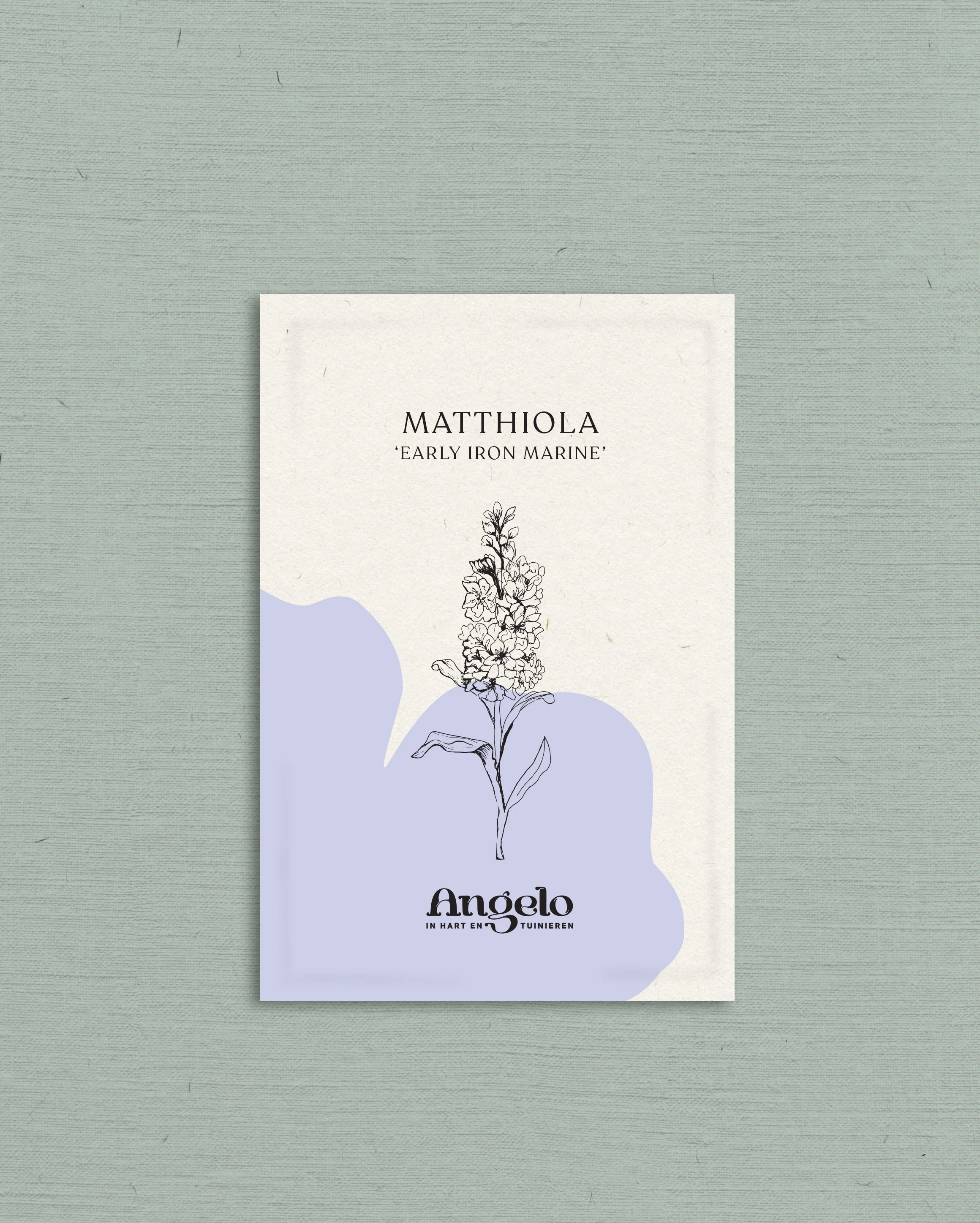Matthiola incana 'Early Iron Marine' - Image 2