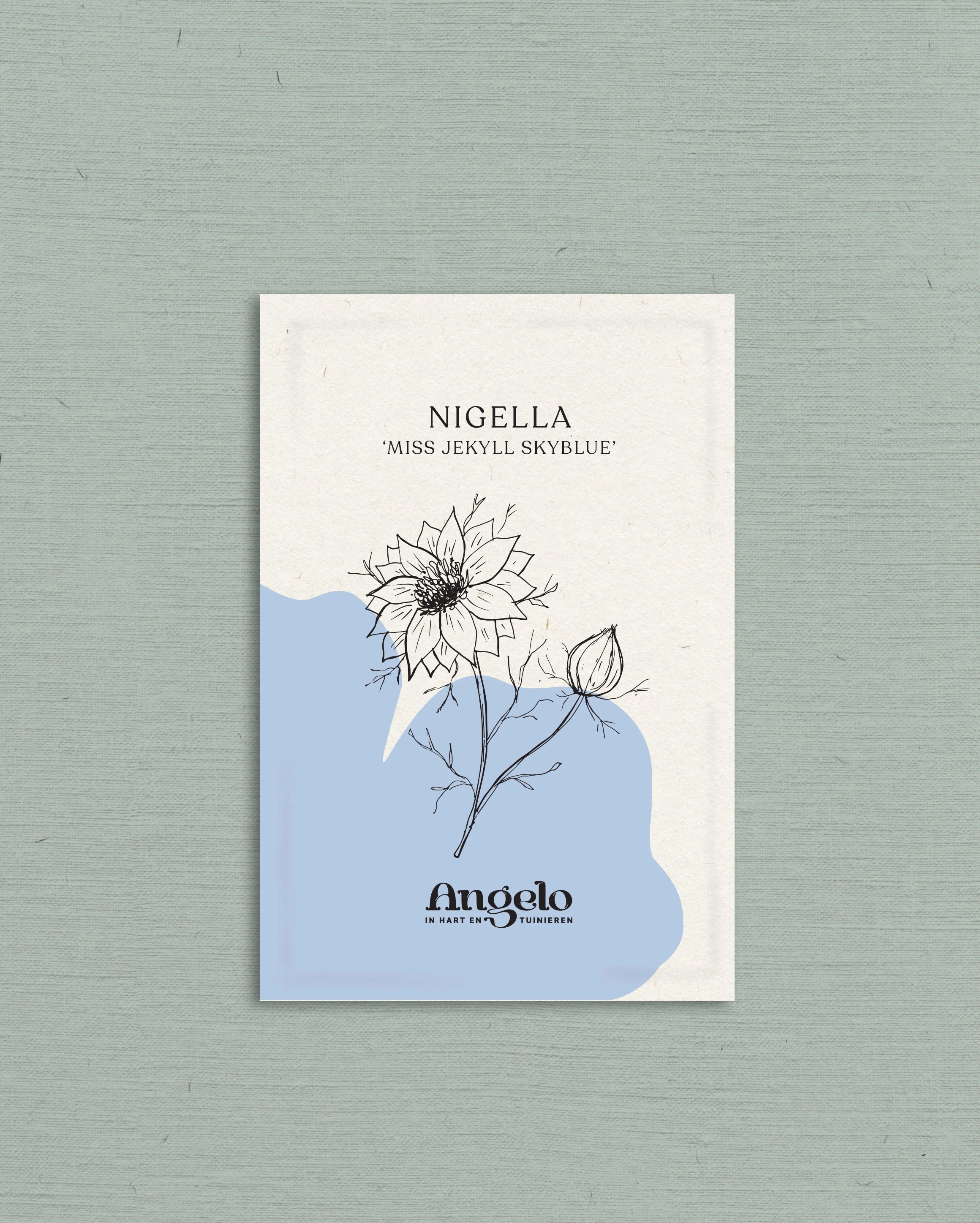 Nigella damascena 'miss jekyll skyblue' - Image 2