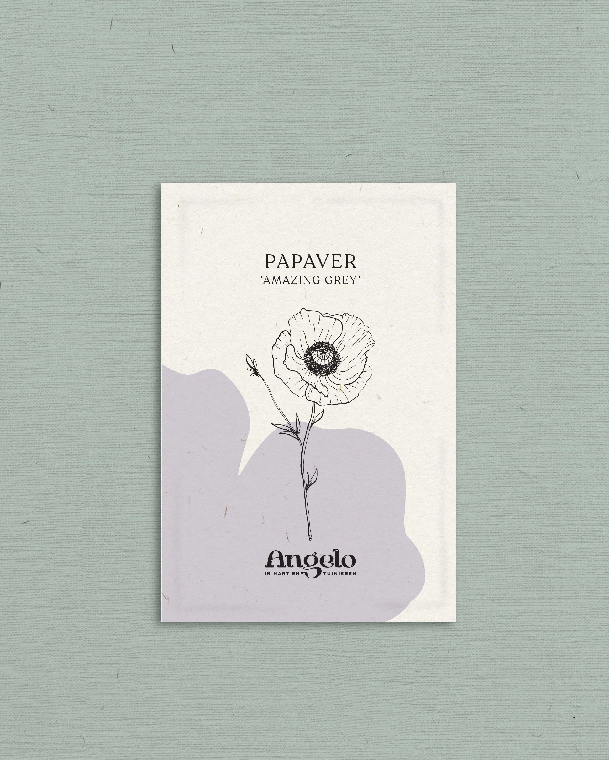 Papaver rhoeas 'Amazing Grey' - Image 2