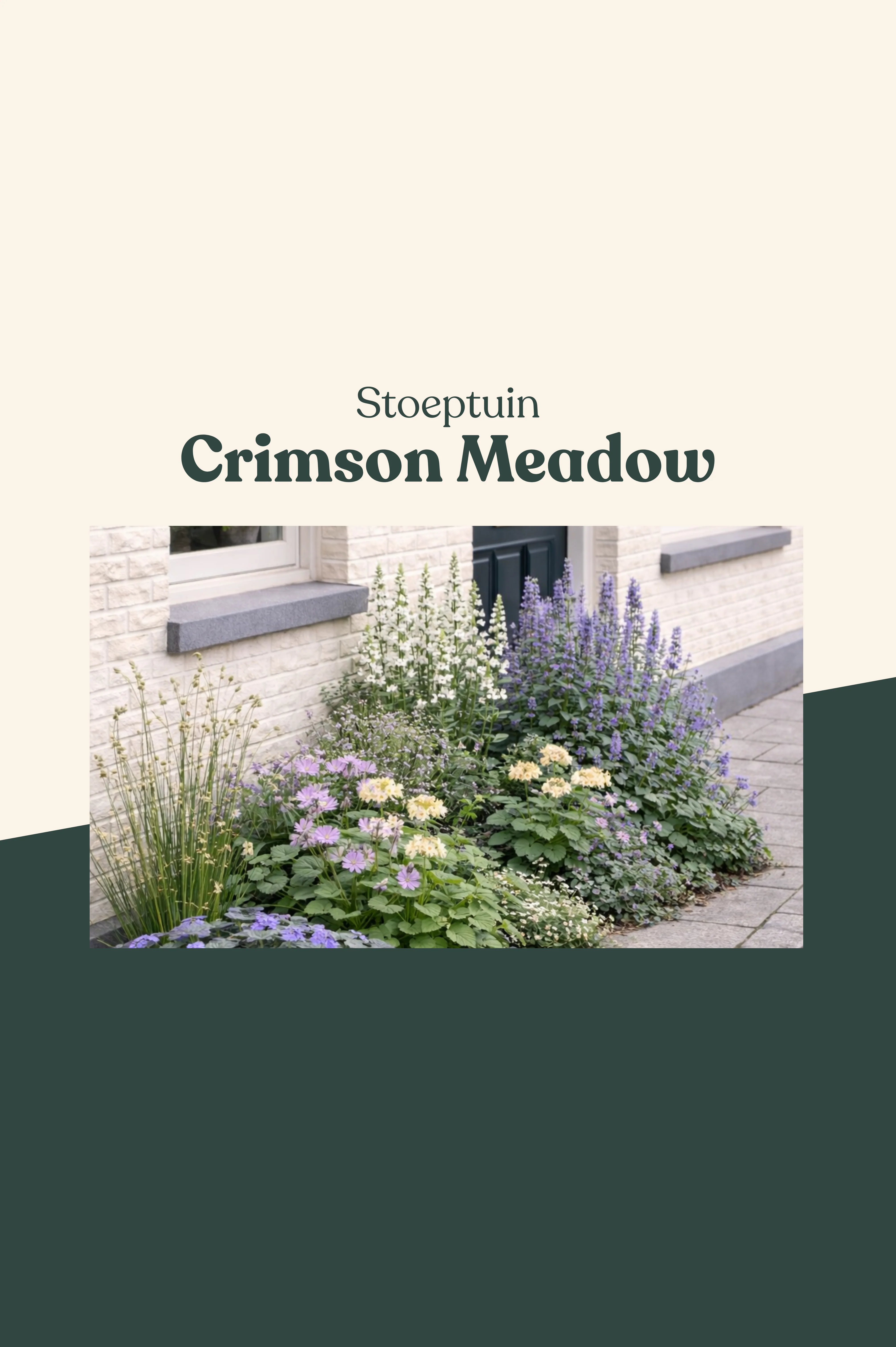 Stoeptuin: Crimson Meadow