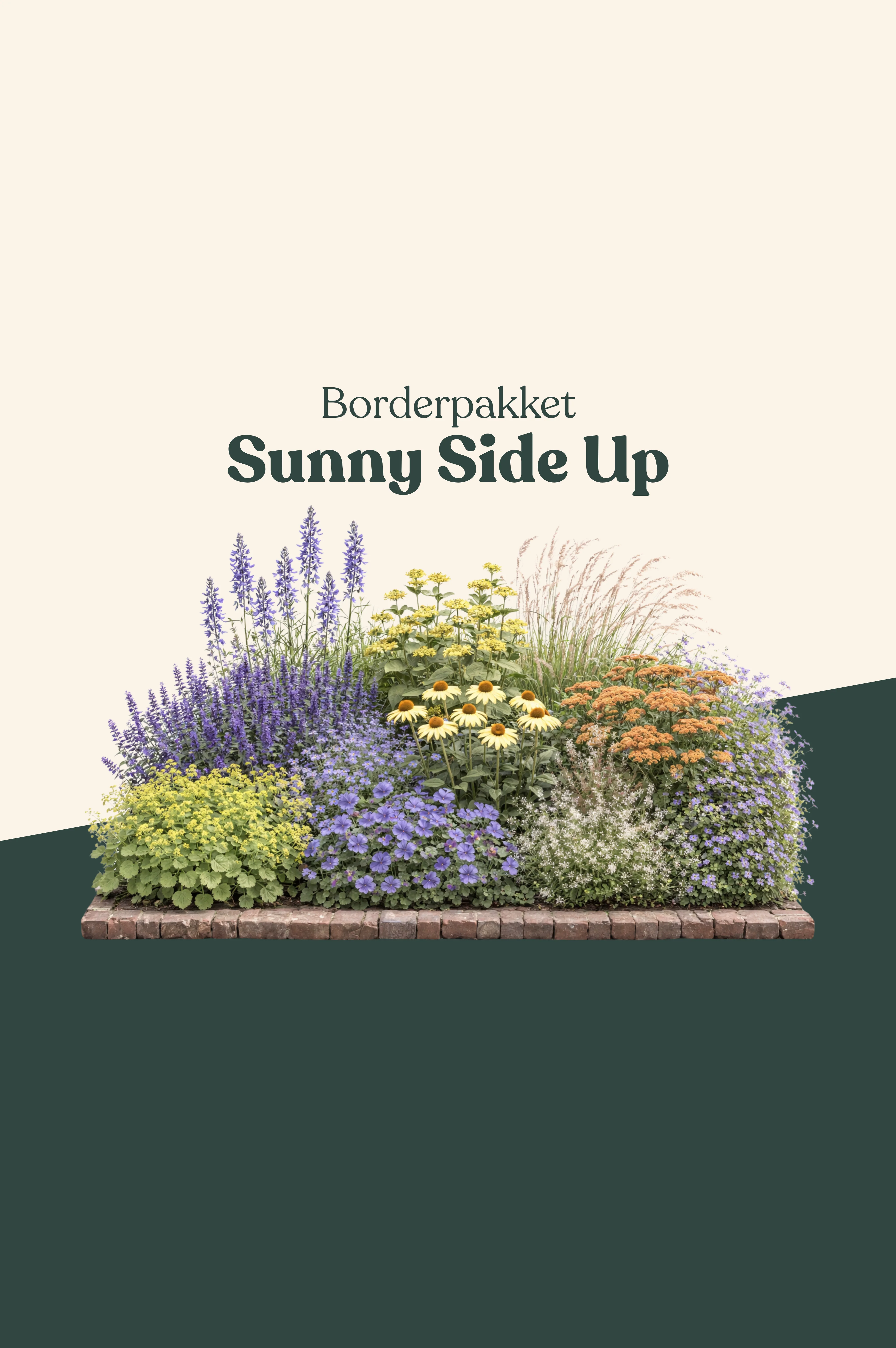 Borderpakket: Sunny Side Up