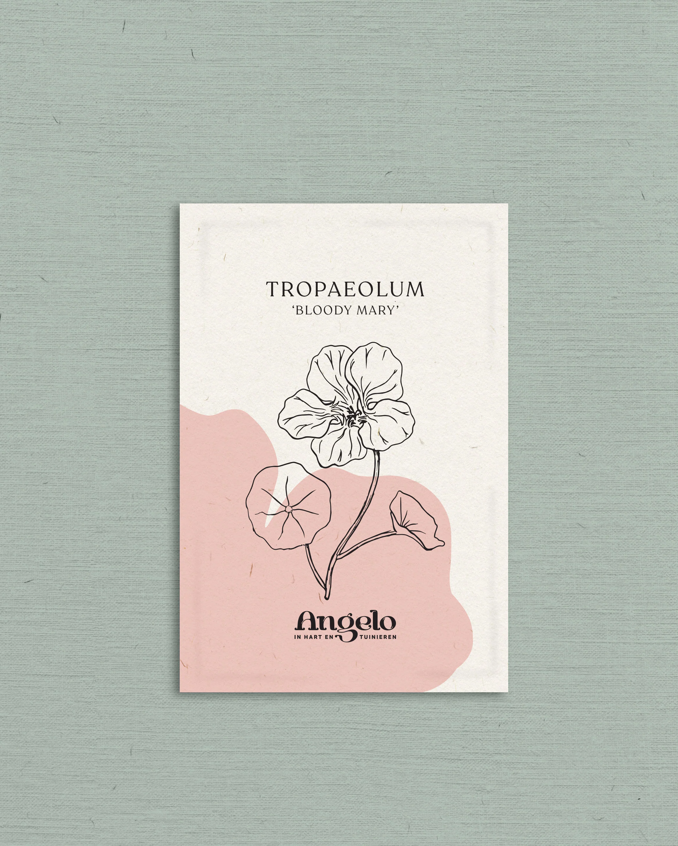 Tropaeolum minus 'Bloody Mary' - Image 2