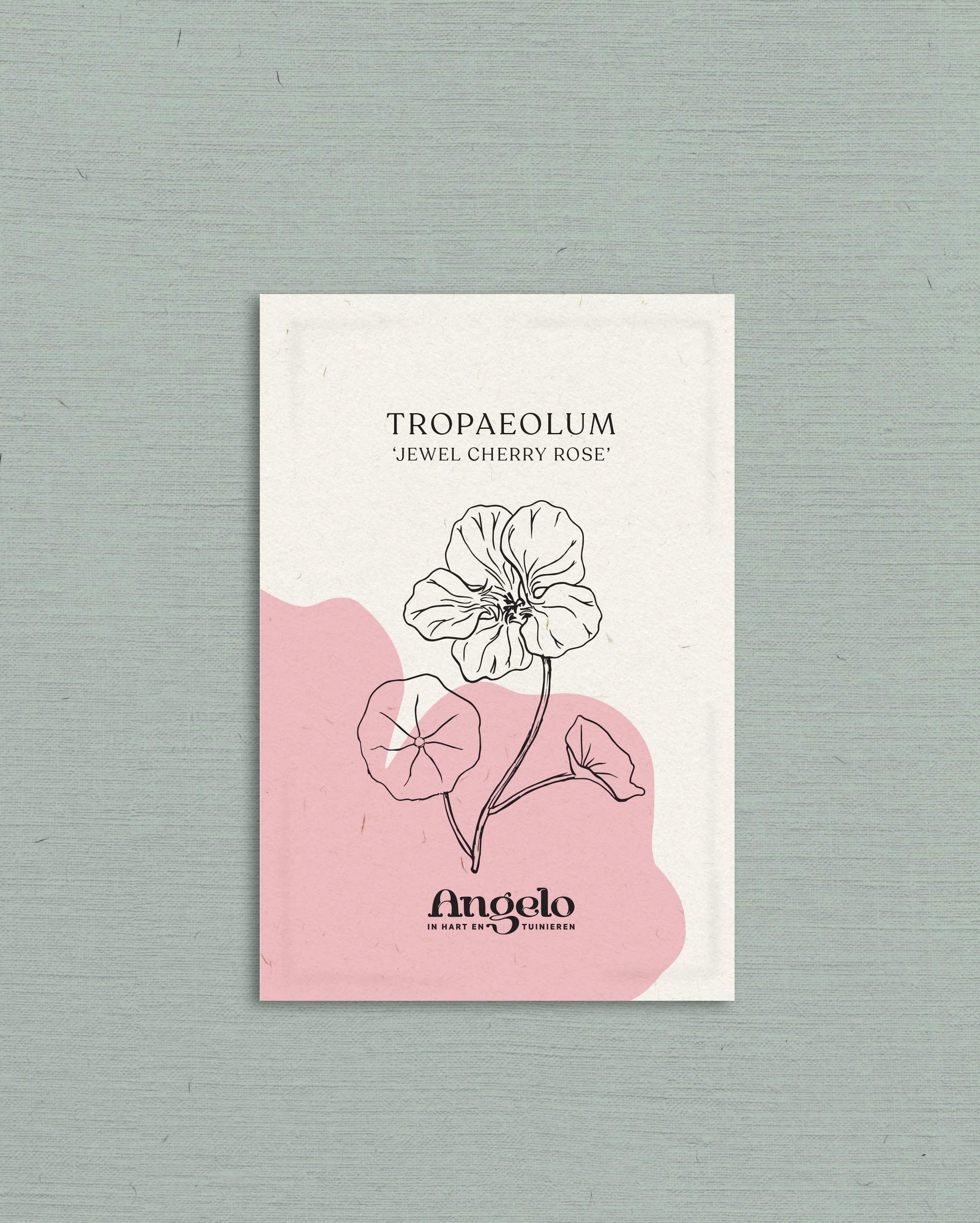 Tropaeolum minus 'Jewel Cherry Rose' - Image 2