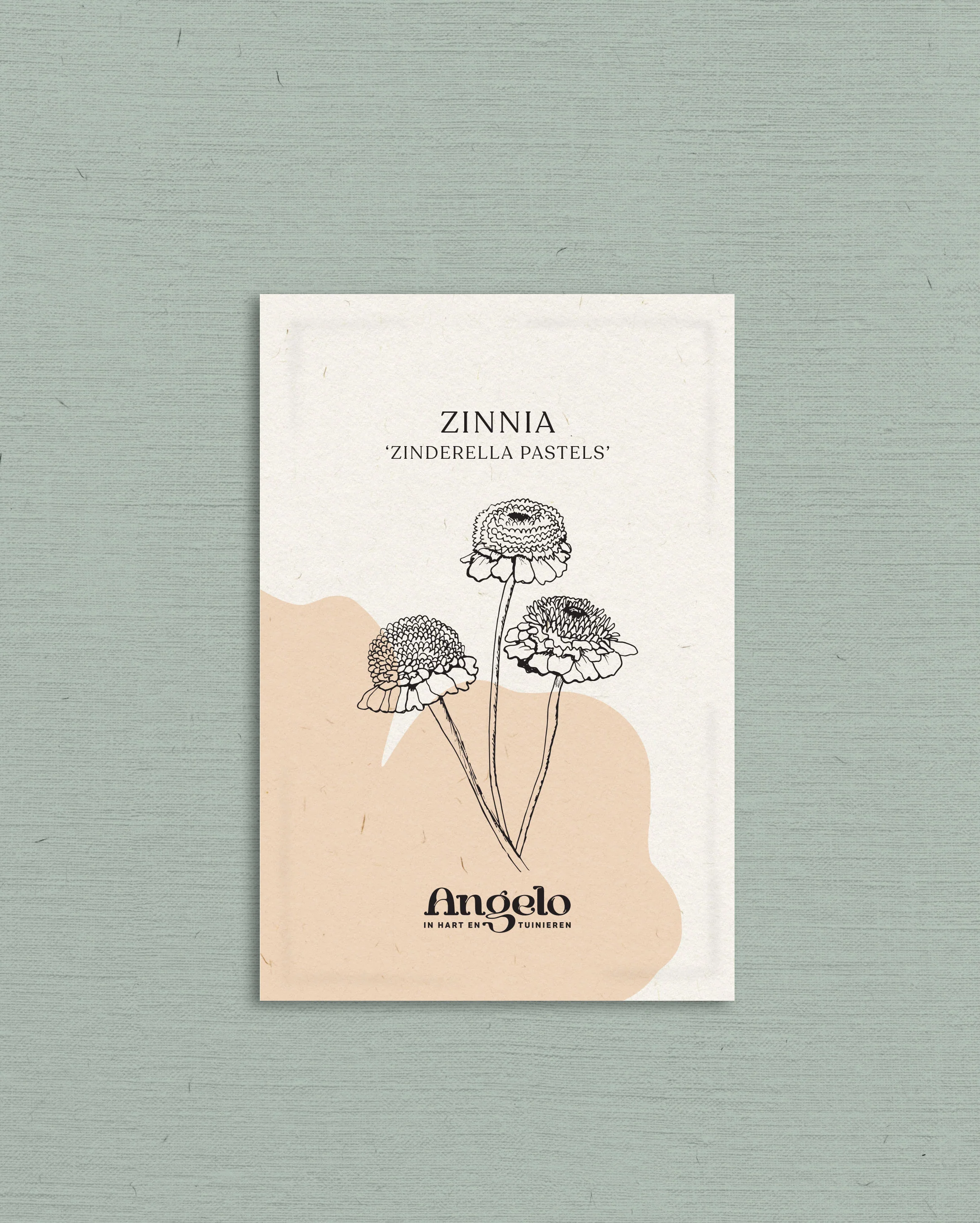 Zinnia elegans 'Zinderella Pastels' - Image 2